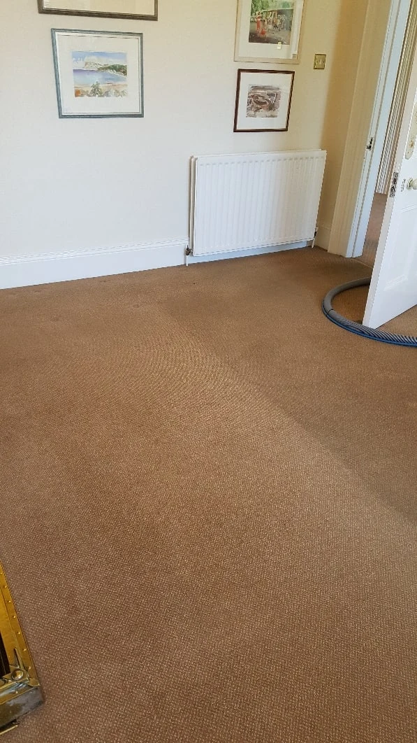 The same home carpet after cleaning